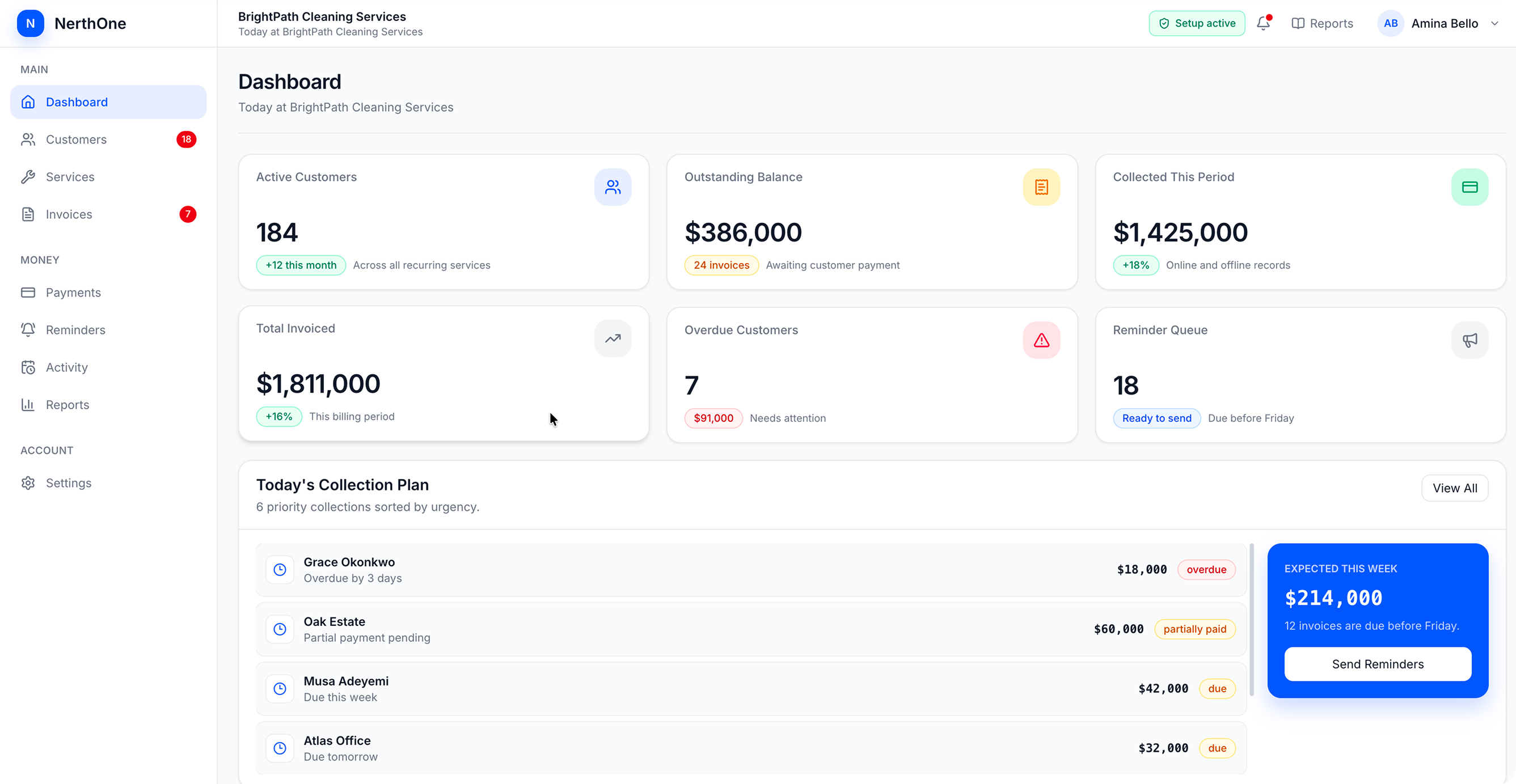 NerthOne business dashboard showing customers, payments and activity